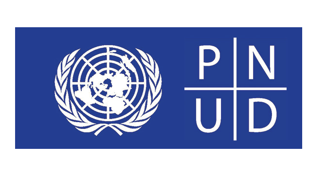 logo-pnud1 (1)